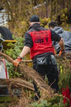 Two workers wearing protective clothing cut off branches of a tree, tree work, Gechingen, Calw