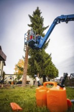 Workers on crane remove branches of a tree, gas cans in the foreground, tree work, Gechingen, Calw