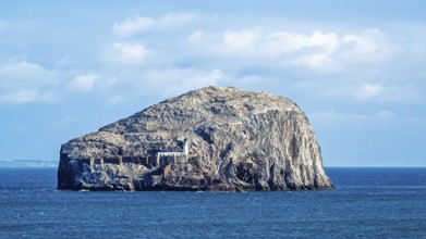 Bass Rock Island and Lighthouse, Scotland's Firth of Forth, Scotland, UK
