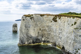 White Cliffs of Old Harry Rocks Jurassic Coast, Handfast Point, Dorset, UK