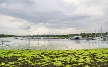 Swanwick Marina, River Hamble, Swanwick, Southampton, Hampshire, UK