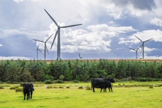 Wind Farm in southeast Scotland, UK