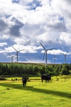 Wind Farm in southeast Scotland, UK