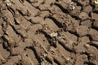 Close-up and top view of deep tire tracks made by earth loader in light brown sand at construction