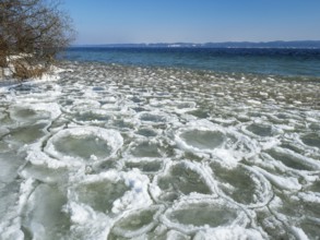 Pancake ice cream at Starnberger See near Bernried, Fünfseenland, Upper Bavaria, Germany