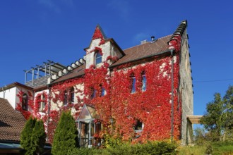 Restaurant Altes Forsthaus near Lichtenstein Castle, restaurant, dining restaurant, historic
