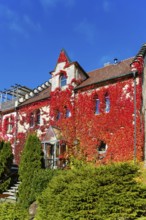 Restaurant Altes Forsthaus near Lichtenstein Castle, restaurant, dining restaurant, historic