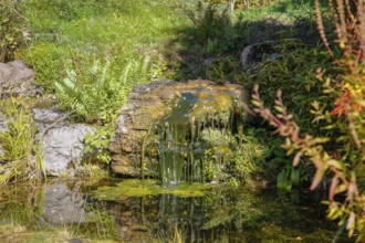 Restaurant Altes Forsthaus near Lichtenstein Castle, restaurant, restaurant, historic building,