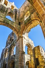 Jedburgh Abbey, Augustinian Abbey, Jedburgh, Scottish Borders, Scotland, UK