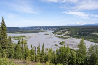 Copper River and Taiga landscape with forest, high mountain peaks in the back, Wrangell Mountains,