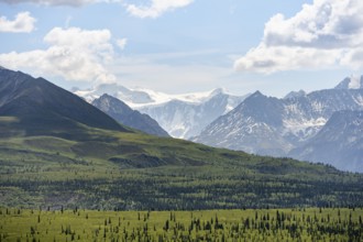 Taiga and tundra in front of mountain landscape, picturesque landscape with icy mountain peaks,