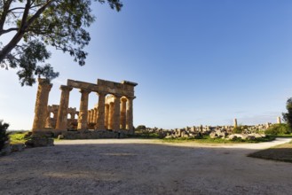 Temple E, Temple of Hera in the ancient Greek city of Selinunte, acropolis, Doric style,