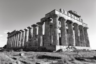 Temple E, Temple of Hera in the ancient Greek city of Selinunte, acropolis, Doric style,