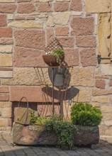 Rustic iron decoration on a stone wall, clay pot with plants in sunshine, Palatinate,