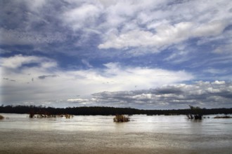 Flooded landscape with dramatic sky and clouds, Mississippi, USA