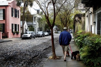 Cosy street scene with walkers and historic charm in Charleston, Charleston, South Carolina, USA