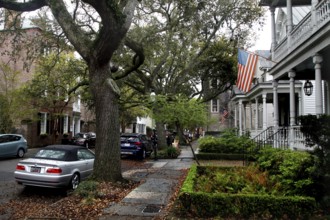 Historic street in Charleston lined with trees and old houses, Charleston, South Carolina, USA