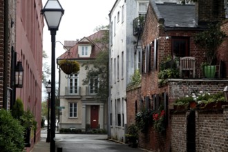 Idyllic narrow alley with historic buildings and vegetation in Charleston, Charleston, South
