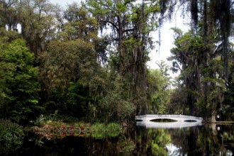 White arch bridge over still water surrounded by lush vegetation and Spanish moss, Charleston,