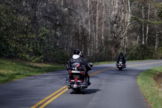 Motorcyclists ride on a winding road through wooded area, Blue Ridge Parkway, USA