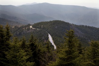 Serpentine road through wooded mountains, Mount Mitchell State Park, North Carolina, USA