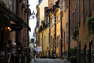 A lively old town alleyway in Stockholm, surrounded by colorful buildings and historic charm,