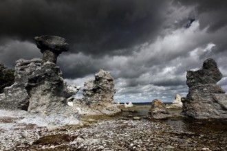 Impressive limestone pillars rise under dramatic clouds, Ljugarn, Gotland, Sweden