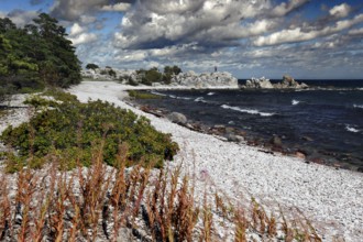 Rocks and cloudy skies characterize the rugged coastal landscape, Ljugarn, Gotland, Sweden