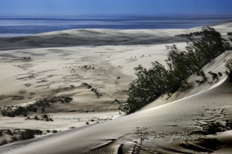 View of extensive sand dunes with small bushes and adjacent water, Ephas Height, Kaliningrad,