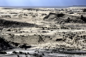 Gentle dune landscape shaped by wind on the Curonian Spit, Curonian Spit, Ephas Heights, Russia