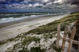 Baltic Sea beach with grassy dunes, a wooden fence and wild waves, Ephas Heights, Kaliningrad,