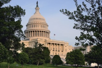 The Capitol rises majestically among green trees under blue skies, Washington D.C, USA
