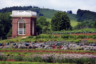 Monticello vegetable garden with picturesque landscape and lush greenery, Charlottesville,