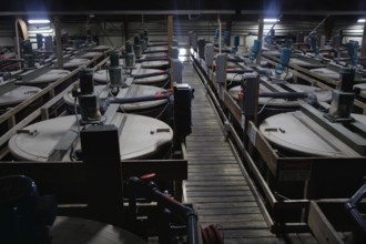 A production hall full of large Tabasco containers, Avery Island, Louisiana, USA