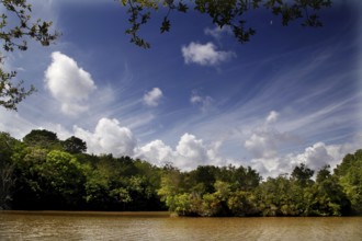 Blue sky with clouds over a river and lush greenery in Avery Island, zero