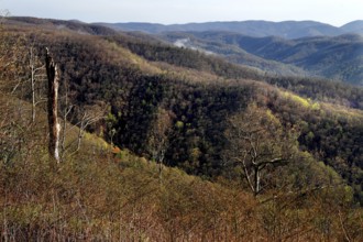 Impressive forest and hill scenery along the Blue Ridge Parkway, zero