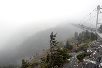 Suspension bridge in fog with wind-shaped trees and rocks in Grandfather Mountain State Park,
