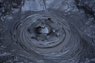 Blowing mud hole in the Whakarewarewa geothermal area in Rotorua, Rotorua, New Zealand