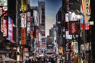 Busy street in Kabukicho with bright lights and billboards, Tokyo, Japan
