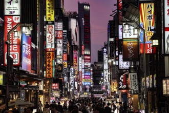 Glowing road signs in Kabukicho at night in Shinjuku, Tokyo, Shinjuku, Japan