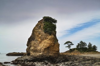 Yokosuka coast with distinctive rock formations and trees in Tateishi Park, Yokosuka, Kanagawa,