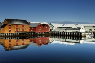 Warehouses are reflected in the calm water of the port of Vardø, Vardø, null, Norway