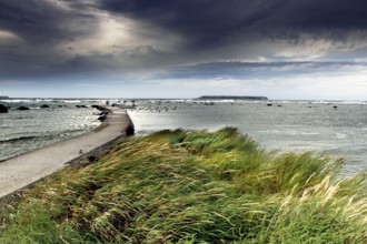Stormy coastal landscape with jetty, dark clouds and wild sea, Gotland, Sweden