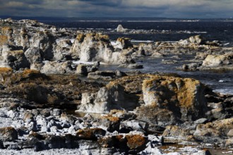 Coastal landscape with impressive limestone columns near Digerhuvud, Digerhuvud, Fårö, Sweden