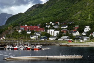 Quiet harbor with small boats and surrounding colorful houses in mountainous landscape, Øksfjord,