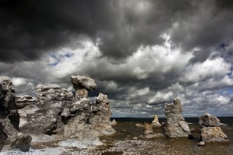 Impressive Raukar under dramatic clouds in Langhammars, Langhammars, Fårö, Sweden