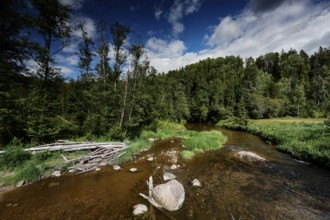 Amata river in Gauja National Park surrounded by thick forest and large stones, Gauja National