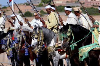 Rider on horseback, magnificently decorated with traditional accessories, parading in the arid
