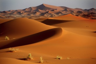 Extensive sand dune landscape with golden hills in Erg Chebbi, Erg Chebbi, Morocco
