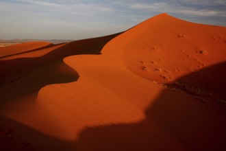 Majestic sand dunes with dramatic shadow plays in Erg Chebbi, Erg Chebbi, Morocco